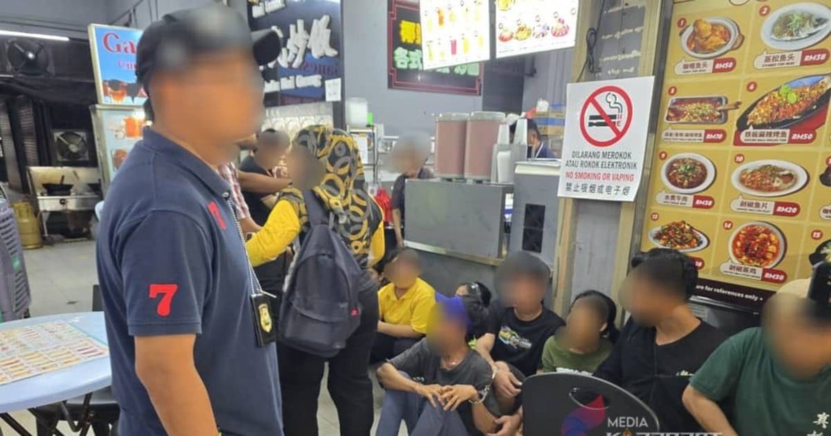 Johor Immigration detains 27 foreign workers