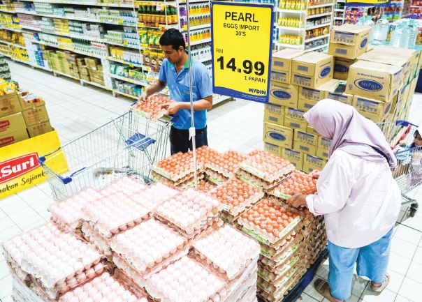 Kementerian Kewangan, MyKasih mohon maaf kelewatan transaksi sistem SARA