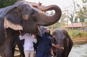 Mahkamah India arah siasat zoo milik anak individu terkaya Asia