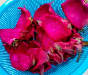 Malaysia sepatutnya terajui pembuatan alternatif gelatin haiwan