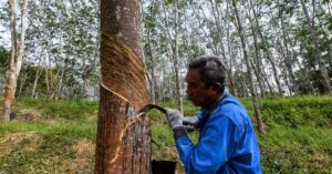 Malaysian rubber industry must set new ESG benchmarks: Chan
