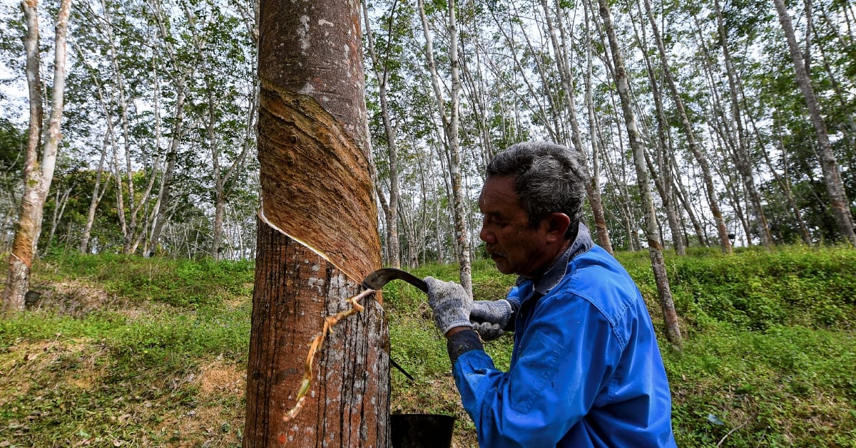 Malaysian rubber industry must set new ESG benchmarks: Chan