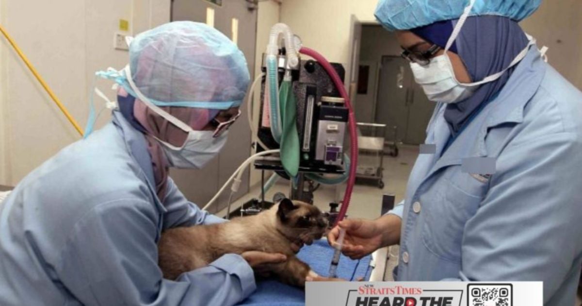 Malaysian veterinarians face mounting challenges