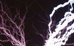 Man dies of electrocution while trapping birds in Pendang, Kedah