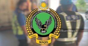 Maqis seizes 100 cinnamon saplings from Taiwan