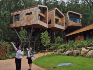 Menginap di rumah pokok Surak Hyu, teroka suasana hutan Seoul