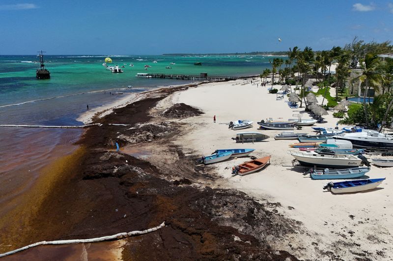 Mexico, Dominican Republic propose joint efforts to fight sargassum seaweed