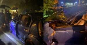 Mother, son survive terrifying moment as tree falls on car in Shah Alam