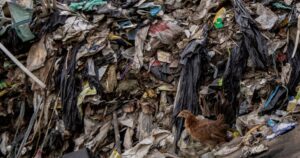 NST Leader: Geneva talks must clean up plastic mess