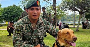 National Day: Serigala Pulada branch expected to be showstoppers with 25 army dogs