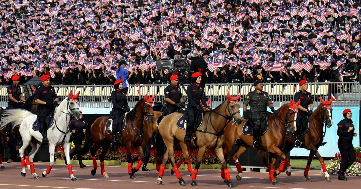 National Day parade: Police horses steal the show, testing riders' skill and bond