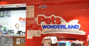 No animal welfare violations at Pets Wonderland outlet, says DVS