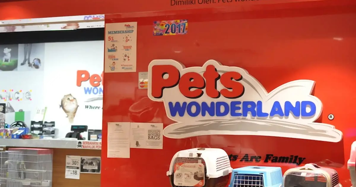No animal welfare violations at Pets Wonderland outlet, says DVS