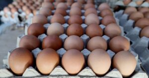 No shortage of chicken or eggs reported, says farmers' association