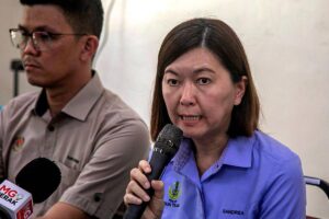 Perak to set up temporary shelters for stray animals