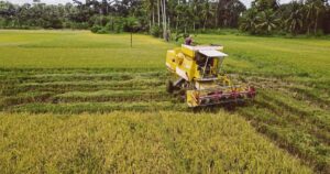 Perlis pump project to protect 3,200ha of padi fields from floods