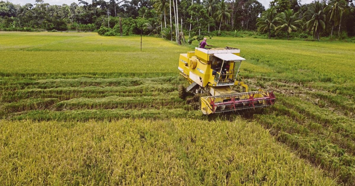 Perlis pump project to protect 3,200ha of padi fields from floods