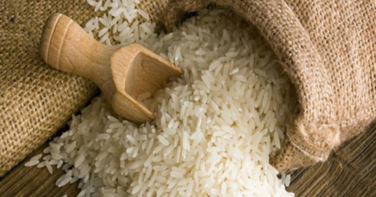 Philippines to suspend rice imports for 60 days from September