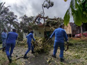 Pokok durian usia lebih 80 tahun tumbang, hempap dua rumah