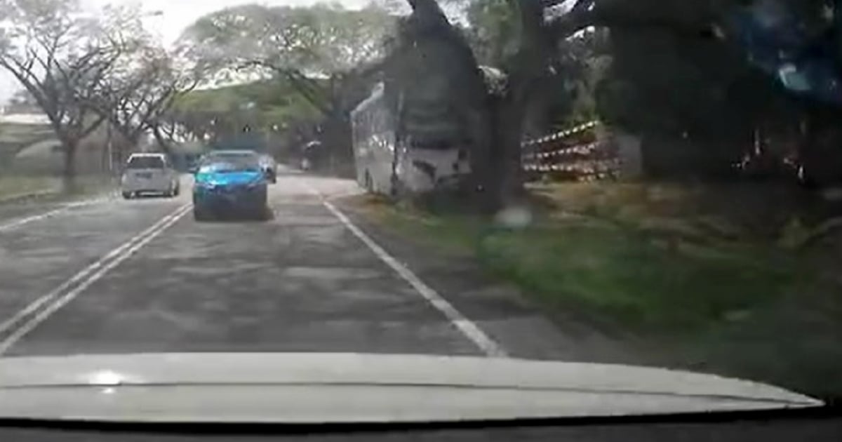 Preschool bus crash: Driver dozed off due to fatigue, say police
