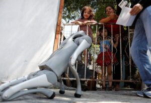 Robot dog in Mexico teaches animal kindness on the streets