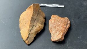 Scientists find possible artefacts of oldest known Wallacean hominids in Indonesia