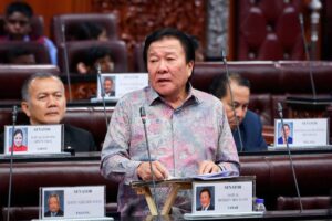 Senators propose new Pan-Borneo link and healthcare upgrades for Sabah