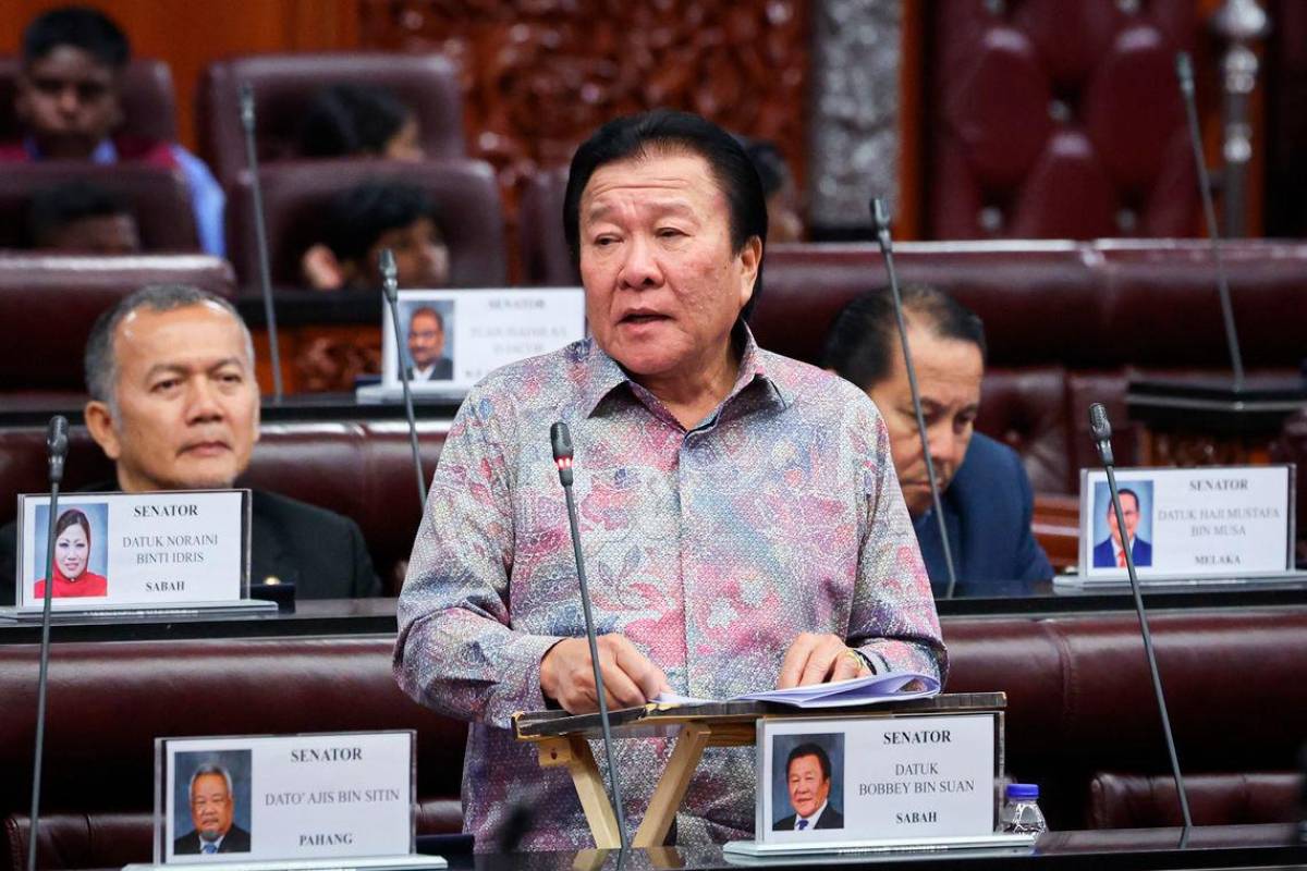 Senators propose new Pan-Borneo link and healthcare upgrades for Sabah
