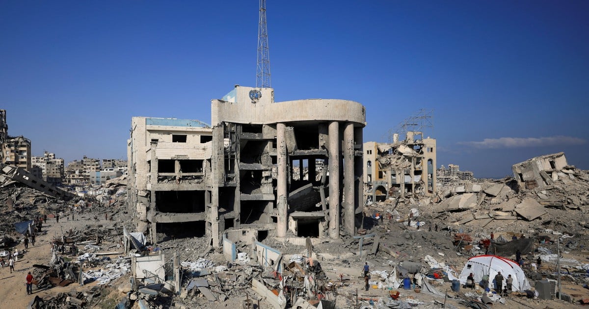 Senior EU official says Gaza crisis 'looks very much' like genocide