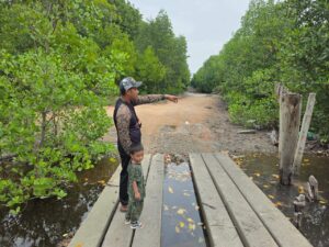 Setahun berlalu, kehilangan pencari siput kekal misteri