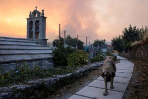 Spain battles 20 major wildfires amid scorching heat, deploys more troops