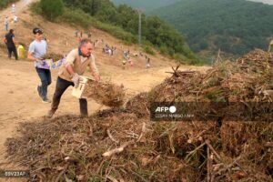 Spain wildfires destroy 30,000 more hectares as heatwave ends