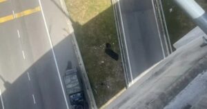 Student becomes third fatality at DASH Expressway after 21m fall
