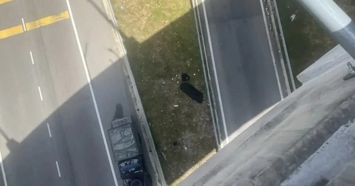 Student becomes third fatality at DASH Expressway after 21m fall