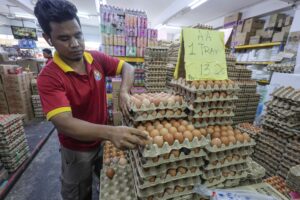 Subsidi telur ayam distruktur semula bermula hari ini