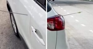 Technical mishap blamed for arrow striking car in Penang
