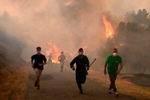 Three killed in European wildfires as heatwave intensifies