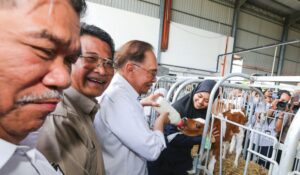 Tiada siapa akan terlepas siasatan kes Zara Qairina – PM