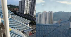 Tragic loss: Stray dog 'Hero' falls to its death after rooftop rescue fails