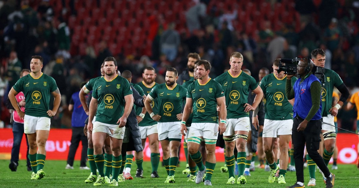 World champions Springboks to play Japan at Wembley