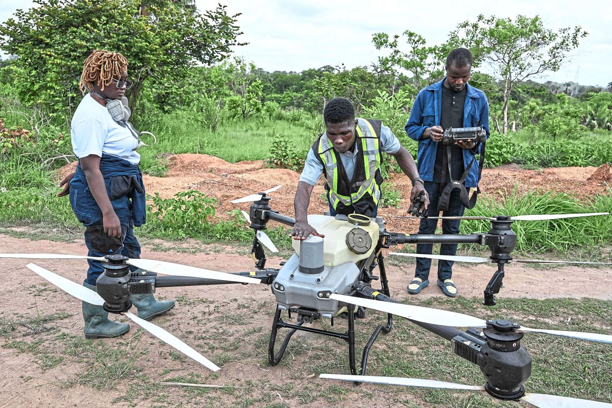 Young innovators reinvent farming | The Star