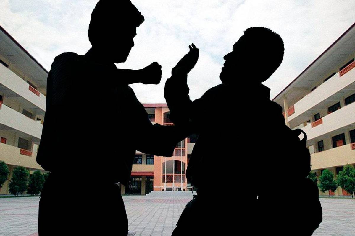 ‘Complaints portal not enough to solve bullying’
