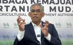 10,000 hektar sawah Kedah boleh ditebus guna
