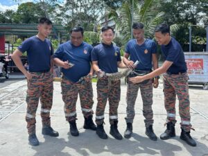 Anak buaya sesat masuk sekolah 