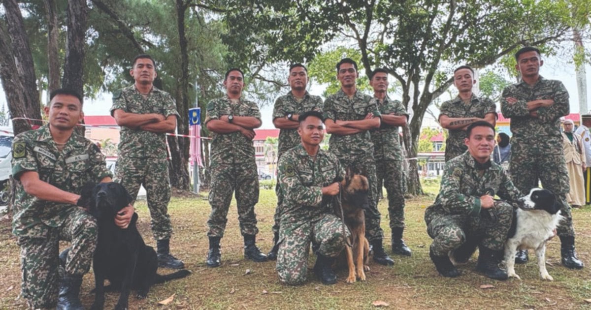 Army's Wolf Wing: Malaysia's four-legged warriors on guard