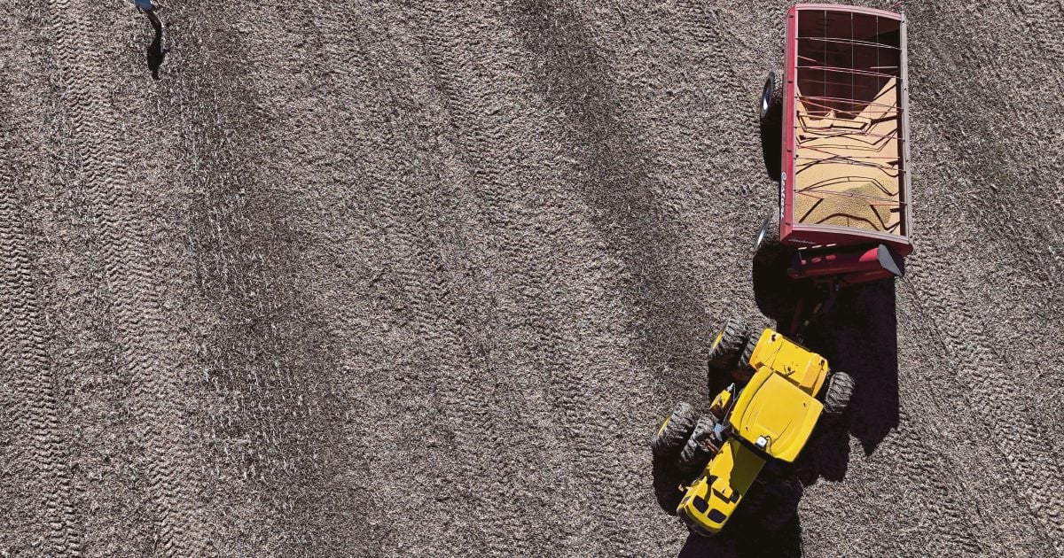 Asia's US grain pledge may redraw trade flows