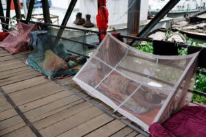 Bangladesh battles rising tide of dengue and chikungunya