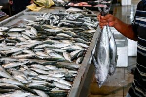 Bekalan ikan cukup sepanjang musim tengkujuh, harga stabil