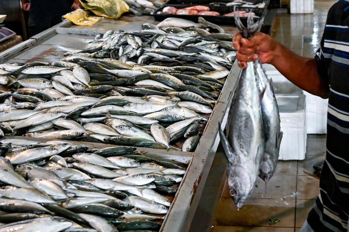 Bekalan ikan cukup sepanjang musim tengkujuh, harga stabil