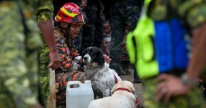 Beyond the leash: The silent sacrifice of K9 handlers